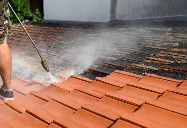 Best Deck Cleaning Services  in Woodsboro, MD