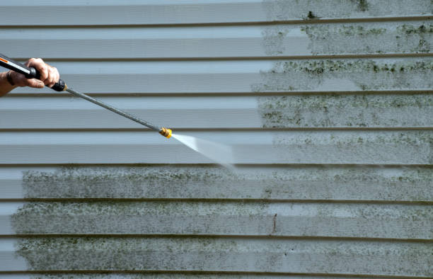 Best Roof Power Washing Services  in Woodsboro, MD