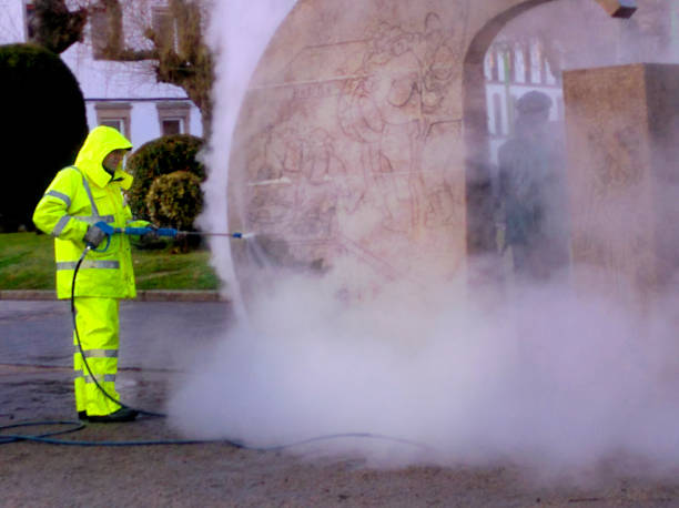 Best Exterior Home Cleaning  in Woodsboro, MD