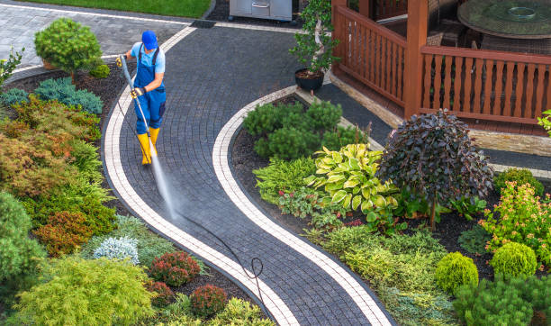 Best Sidewalk Pressure Washing  in Woodsboro, MD