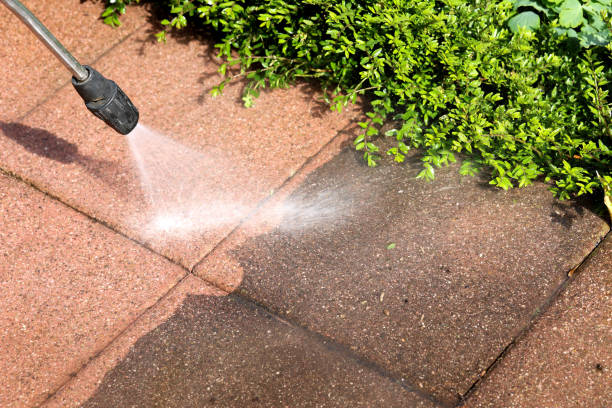 Best Local Pressure Washing Services  in Woodsboro, MD