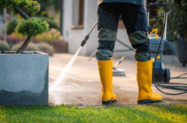 Best Affordable Power Washing  in Woodsboro, MD